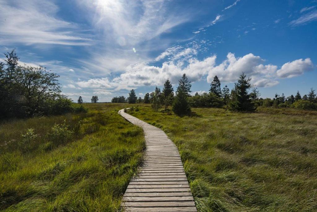 Vila Le Noir Flohay 30 Pers - Malmedy, Vue, Wellness Exteriér fotografie